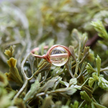 Load image into Gallery viewer, Shine Bright Halo Ring