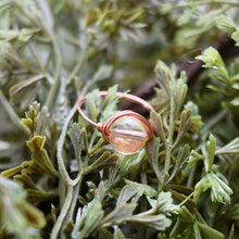 Load image into Gallery viewer, Shine Bright Halo Ring