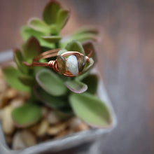 Load image into Gallery viewer, Full of Magic Ring
