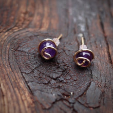 Load image into Gallery viewer, A Touch Of Mother Nature Spiral Earrings