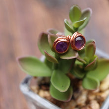 Load image into Gallery viewer, A Touch Of Mother Nature Halo Stud Earrings