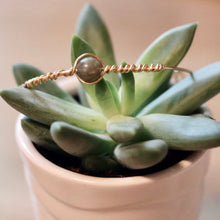 Load image into Gallery viewer, Seeking Magic Bracelet