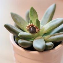 Load image into Gallery viewer, Seeking Magic Beaded Halo Ring