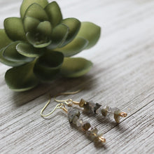 Load image into Gallery viewer, Full of Magic Earrings